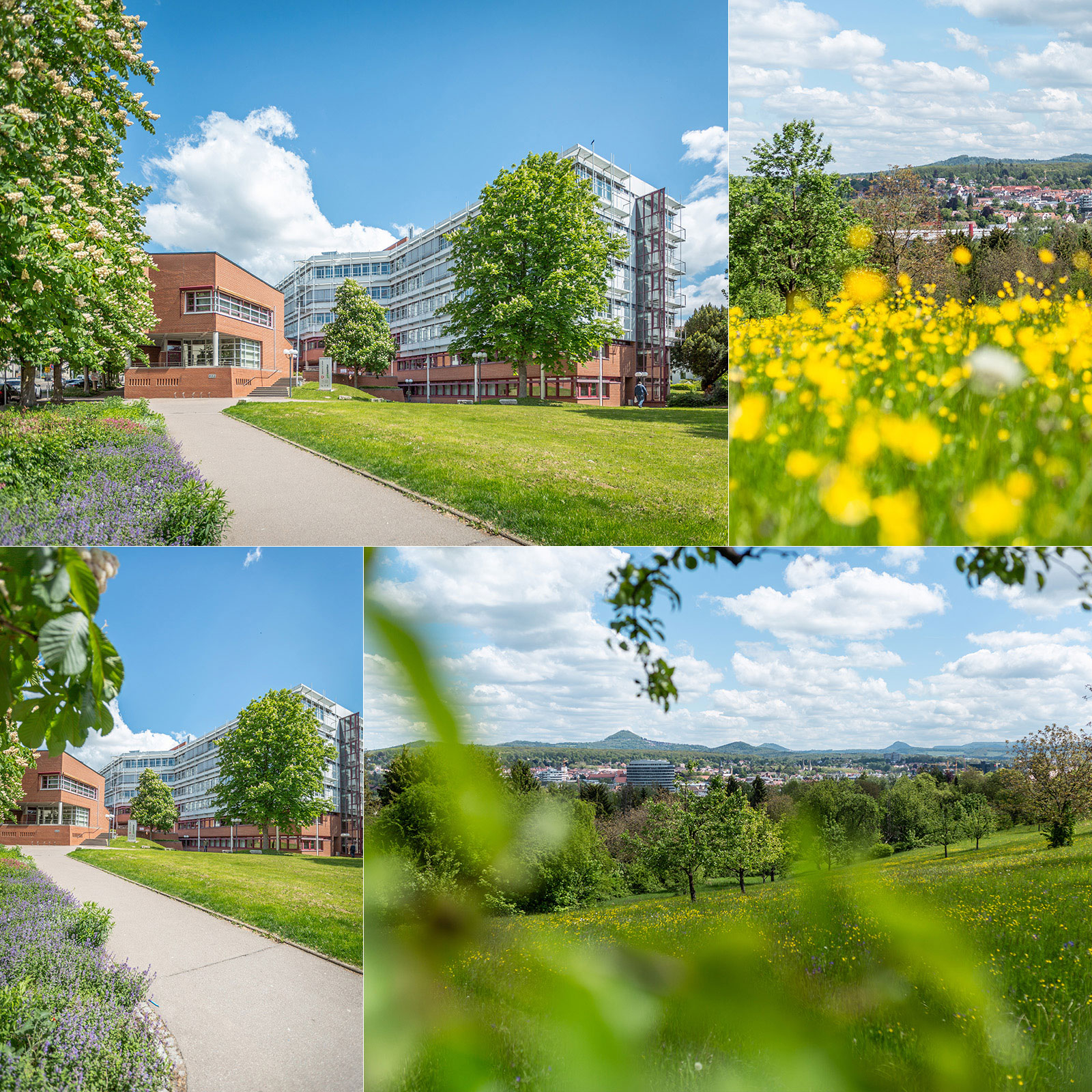 Imageshooting Agentur für Arbeit